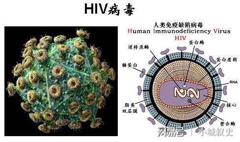 女星患艾滋病_美国女优艾滋病_首位公开患艾滋的女明星